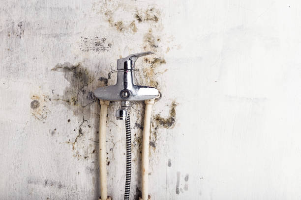 Best Mold Remediation  in Schofield Barracks, HI