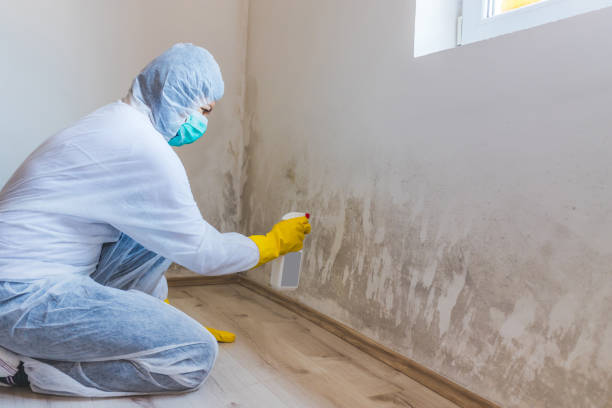 Attic Mold Removal in Schofield Barracks, HI