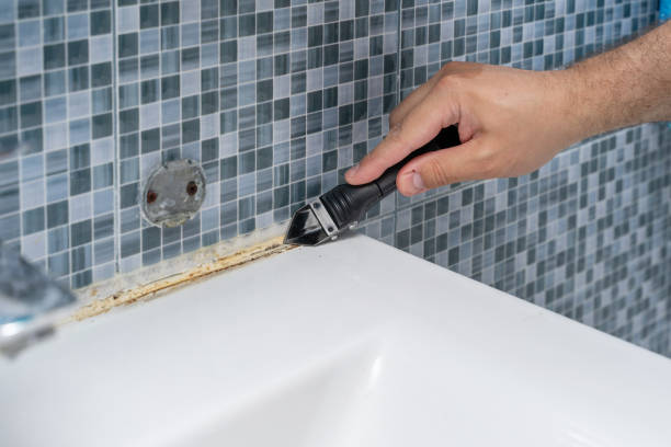 Mold Removal Process in Schofield Barracks, HI